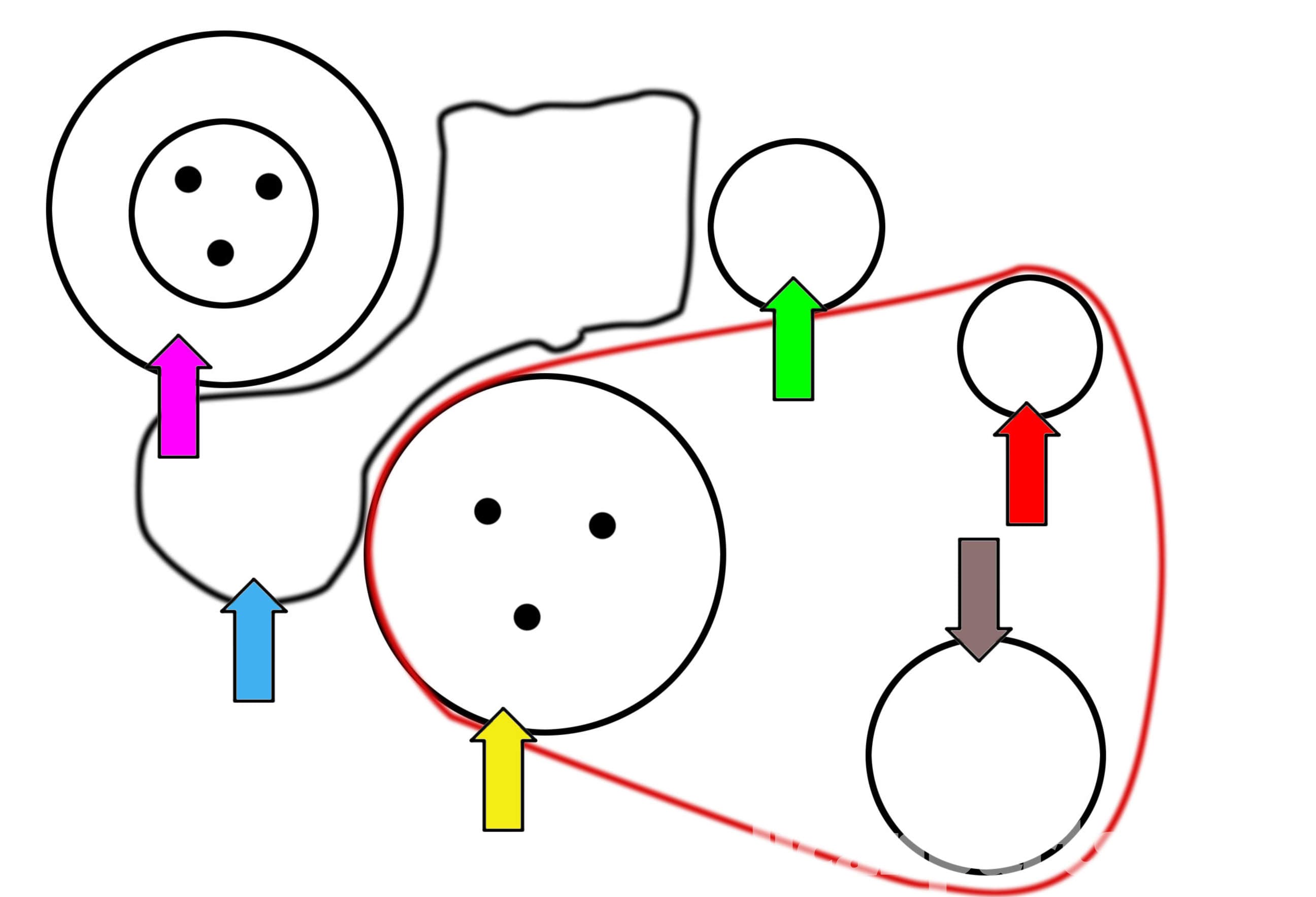Replacing Alternator Belt 2006 Mini Cooper S Diagram Easy View
