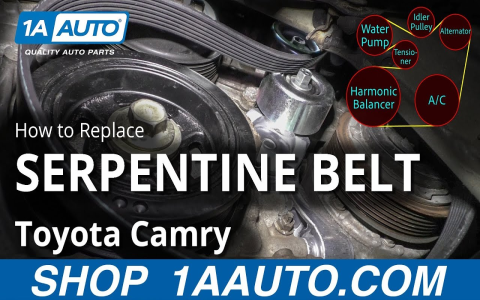 Installing 2009 Toyota Camry Belt? Use This Diagram for Perfect Fit!