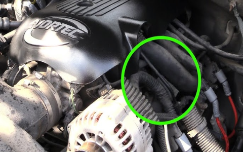 Where to Get a Free 5.3 Vacuum Lines Diagram Guide Now