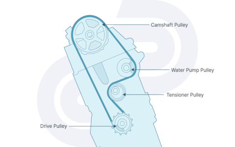 What Shows on 2010 Honda Odyssey Belt Diagram View All Belts Guide
