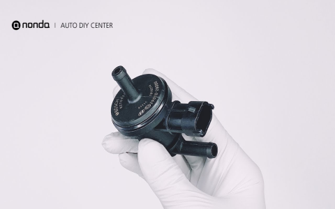 Evap Purge Valve Diagram Cost: Save Money On Repairs Yourself