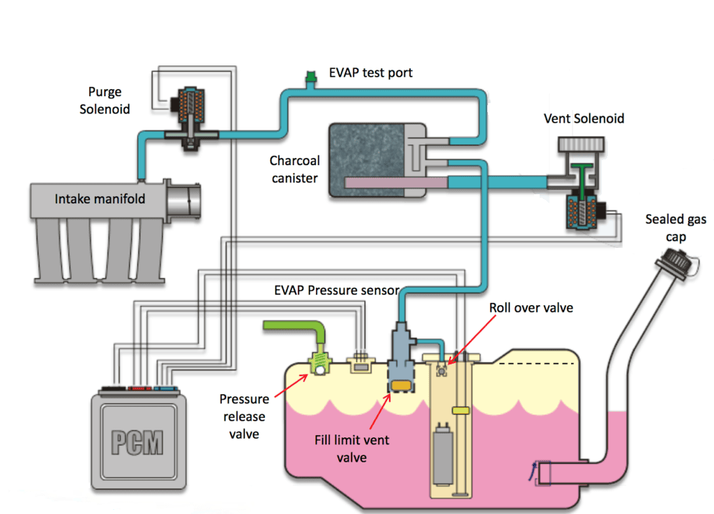 Evap Purge Valve Diagram Cost: Save Money On Repairs Yourself