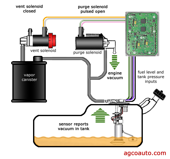 What is vapor canister purge valve diagram? Learn the basics step by step.